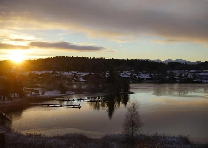 Aribo סיאון-זיברוק